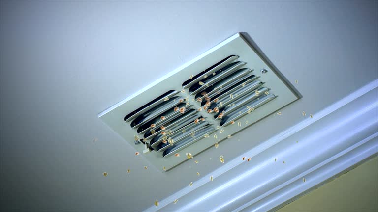 Best Affordable Duct Cleaning Services  in Lorenz Park, NY