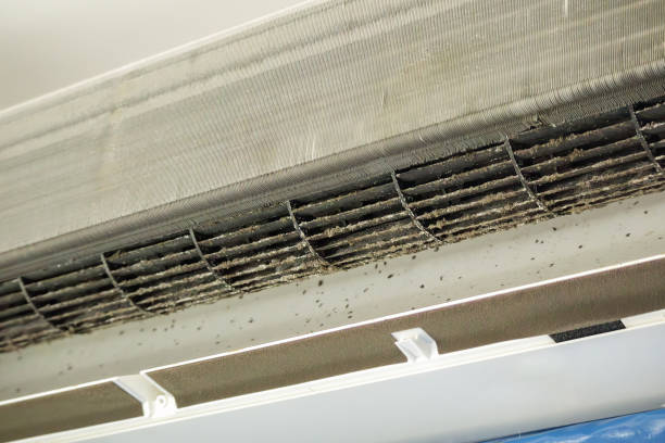 Best Air Duct Cleaning Near Me  in Lorenz Park, NY