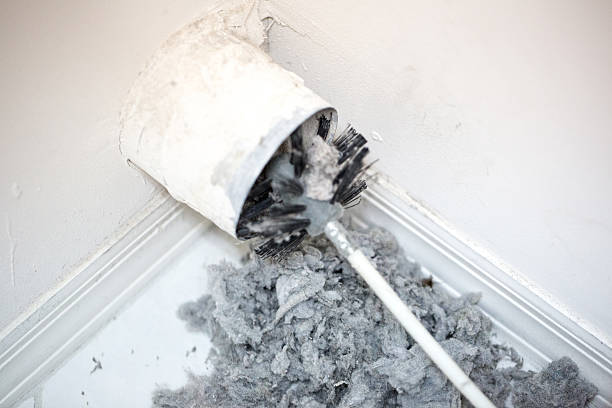 Best Ductwork Cleaning Services  in Lorenz Park, NY